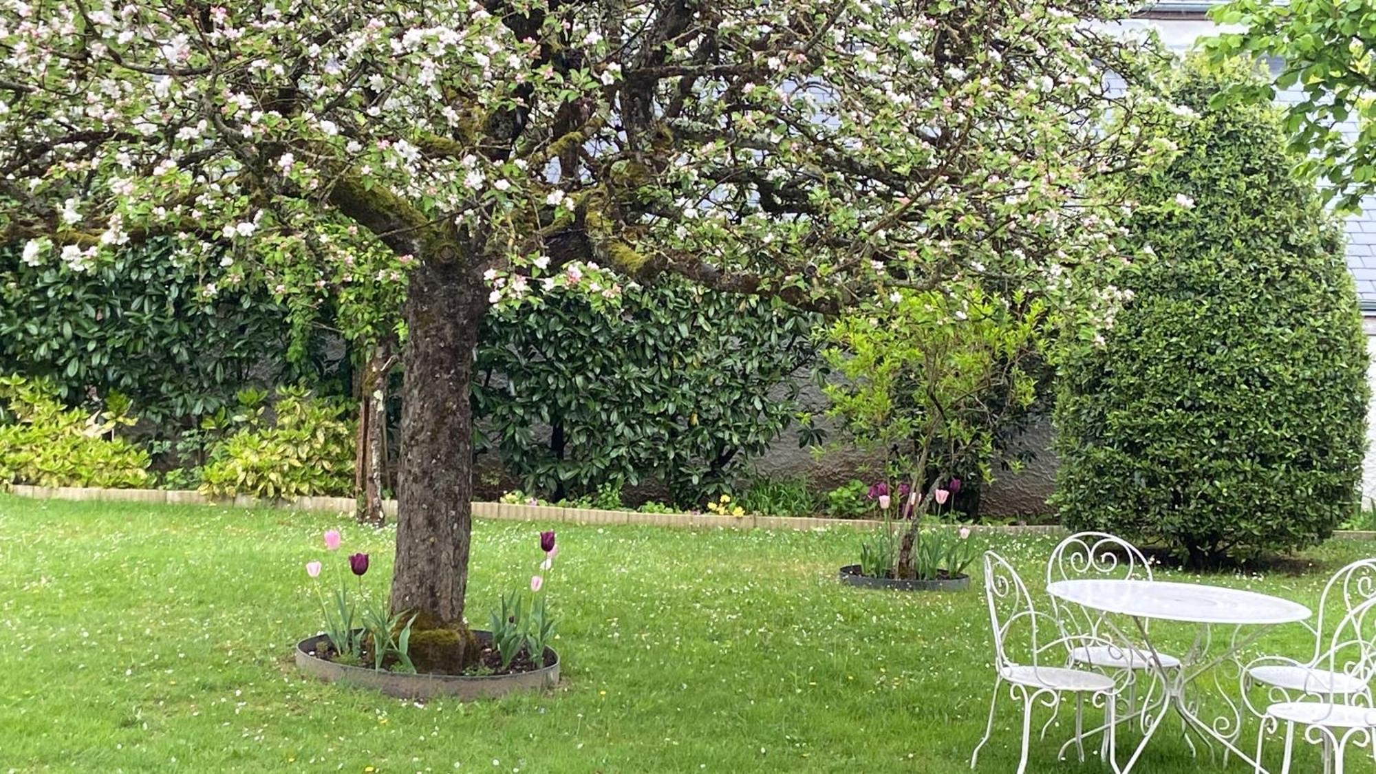 Le Hameau Du Moulin A Vent Hotel Saint-Avertin Luaran gambar